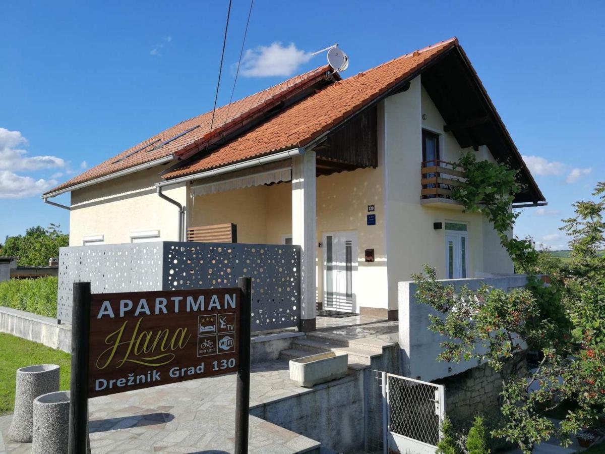 Apartman Hana Apartman Drežnik Grad Kültér fotó