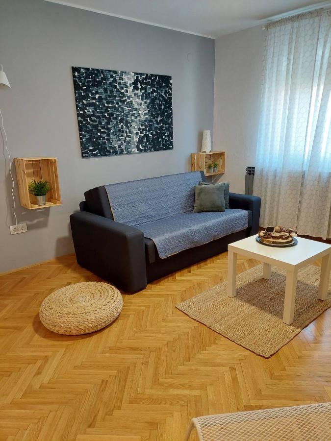 Apartman Hana Apartman Drežnik Grad Kültér fotó