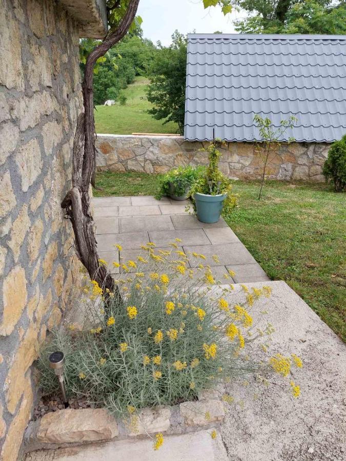 Apartman Hana Apartman Drežnik Grad Kültér fotó