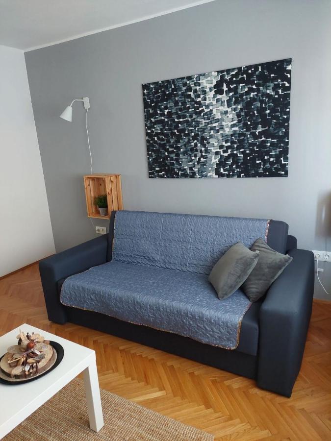 Apartman Hana Apartman Drežnik Grad Kültér fotó