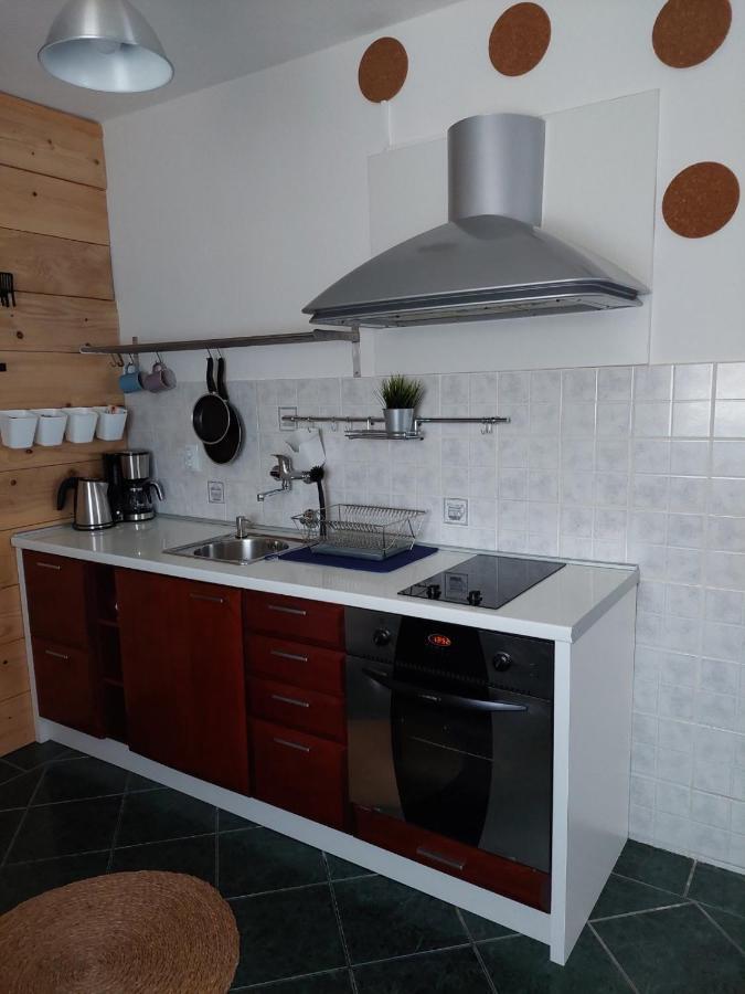 Apartman Hana Apartman Drežnik Grad Kültér fotó
