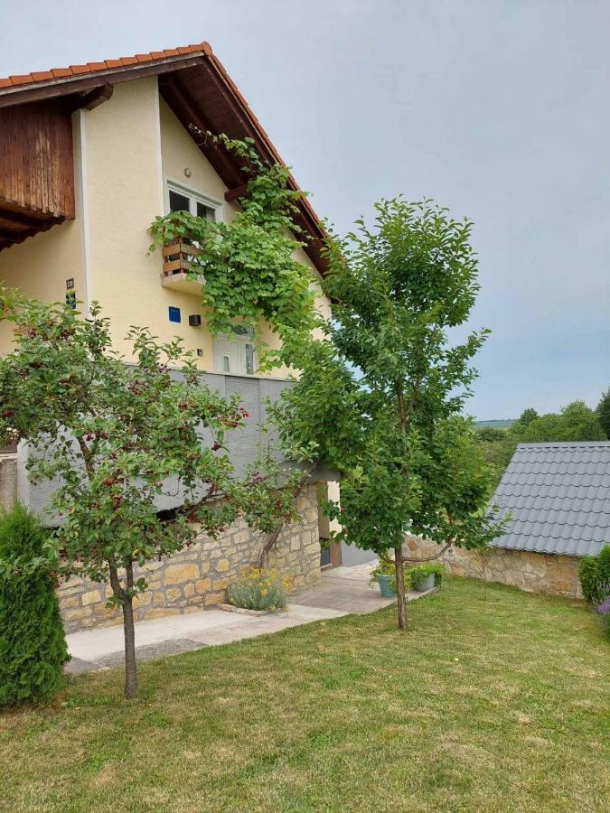 Apartman Hana Apartman Drežnik Grad Kültér fotó