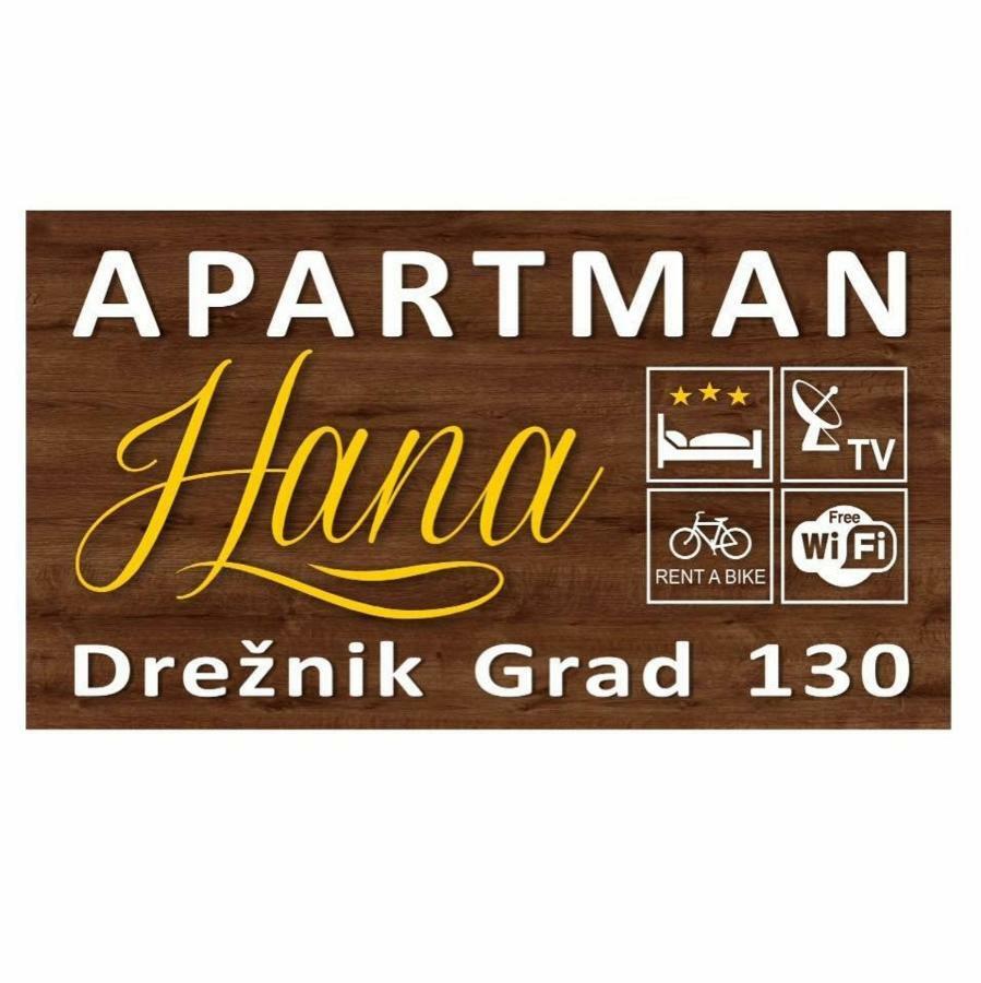 Apartman Hana Apartman Drežnik Grad Kültér fotó